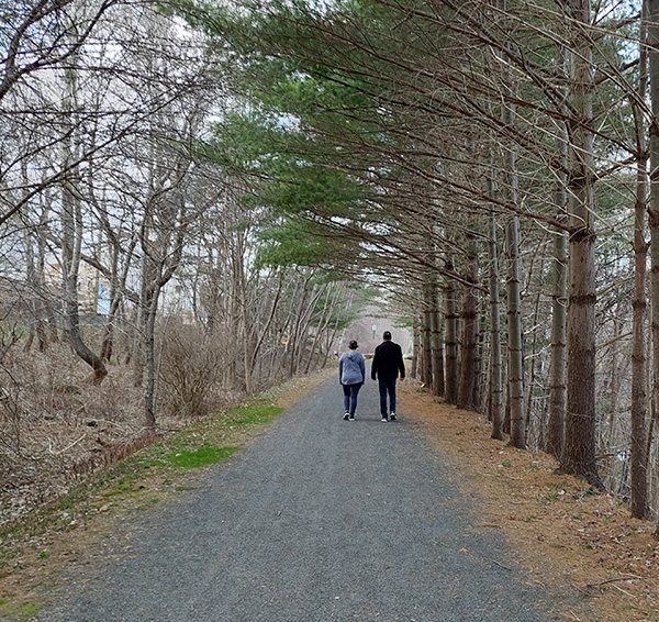 Two people walk down a tree-lined hiking trail.